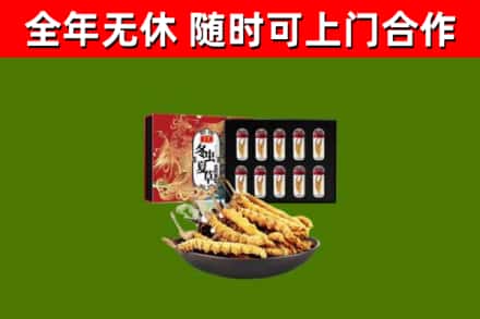 金乡县回收冬虫夏草价格